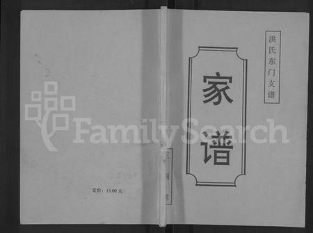 江苏洪氏族谱-洪氏东门支谱 [不分卷].pdf电子版插图