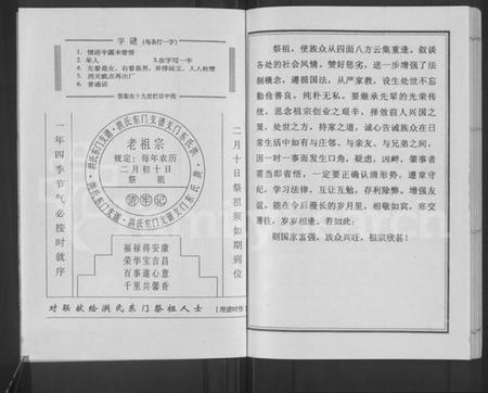 江苏洪氏族谱-洪氏东门支谱 [不分卷].pdf电子版插图2