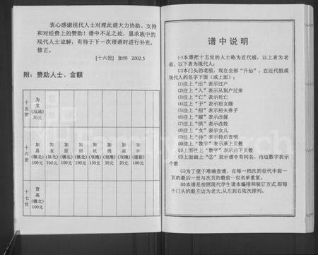 江苏洪氏族谱-洪氏东门支谱 [不分卷].pdf电子版插图3