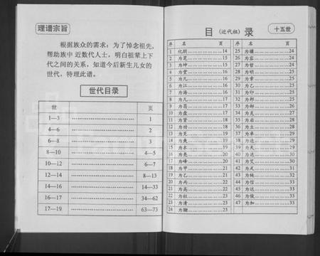 江苏洪氏族谱-洪氏东门支谱 [不分卷].pdf电子版插图4