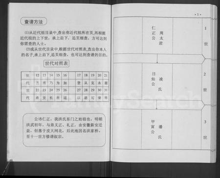 江苏洪氏族谱-洪氏东门支谱 [不分卷].pdf电子版插图5