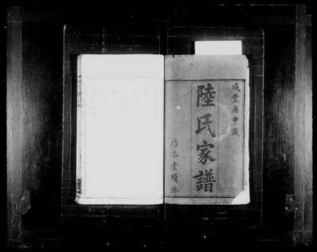 湖南陆氏族谱-陆氏家谱[3卷及首末].pdf电子版插图2