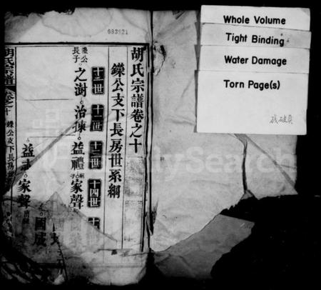 中国胡氏族谱-胡氏宗谱.pdf电子版插图1 中国胡氏族谱-胡氏宗谱.pdf电子版插图1