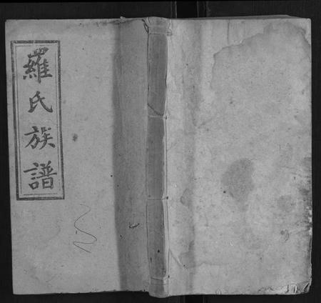 湖南罗氏族谱-罗氏九房族谱.pdf电子版