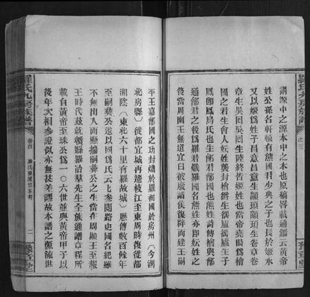 湖南罗氏族谱-罗氏九房族谱.pdf电子版插图2