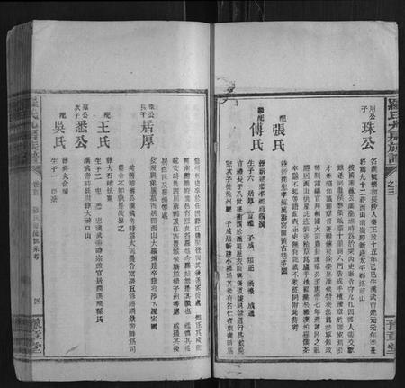 湖南罗氏族谱-罗氏九房族谱.pdf电子版插图4