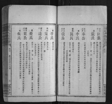 湖南罗氏族谱-罗氏九房族谱.pdf电子版插图5