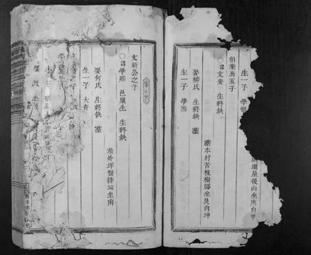 浙江张氏族谱-清河郡张氏宗谱.pdf电子版插图2 浙江张氏族谱-清河郡张氏宗谱.pdf电子版插图2