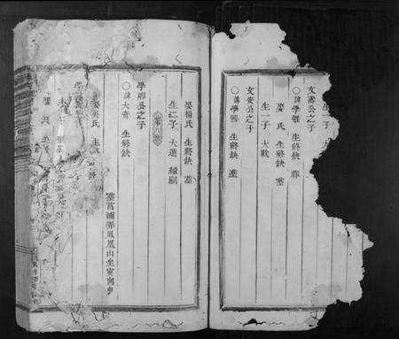 浙江张氏族谱-清河郡张氏宗谱.pdf电子版插图3 浙江张氏族谱-清河郡张氏宗谱.pdf电子版插图3