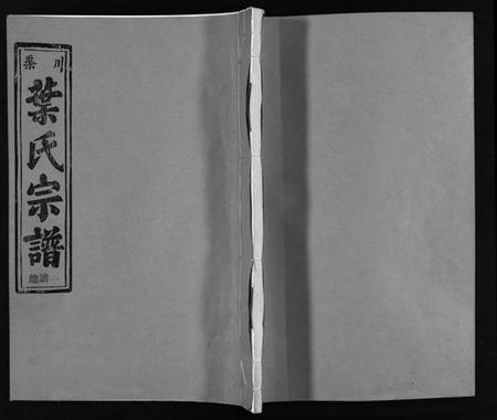 浙江叶氏族谱-渠川叶氏宗谱 [不分卷].pdf电子版插图1