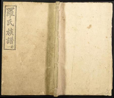 湖南罗氏族谱-罗氏族谱.pdf电子版