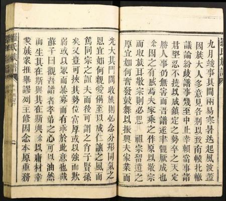 湖南罗氏族谱-罗氏族谱.pdf电子版插图2