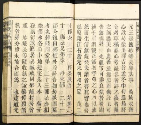 湖南罗氏族谱-罗氏族谱.pdf电子版插图4