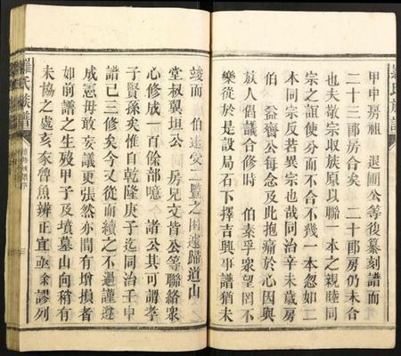 湖南罗氏族谱-罗氏族谱.pdf电子版插图5