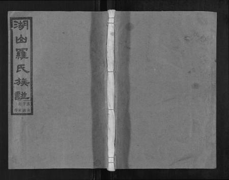 浙江罗氏族谱-湖山罗氏族谱[各房分卷].pdf电子版