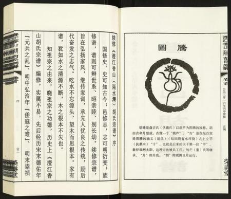 江苏胡氏族谱-澄江香山两水湾胡氏宗谱.pdf电子版插图2