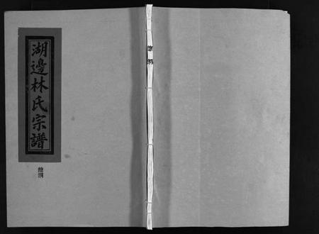 浙江林氏族谱-湖边林氏宗谱 [不分卷].pdf电子版插图1