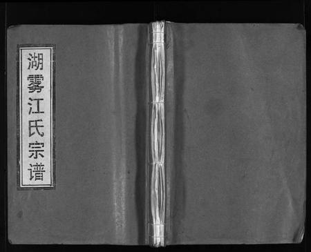 浙江江氏族谱-湖雾江氏宗谱 [不分卷].pdf电子版插图1