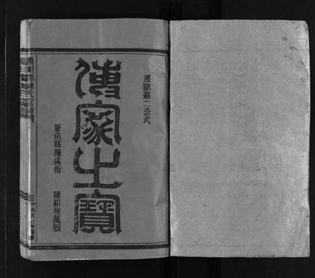 浙江陈氏族谱-湖雾陈氏宗谱 [3册].pdf电子版插图2