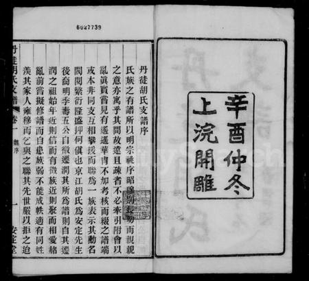 江苏胡氏族谱-丹徒胡氏支谱 [4卷].pdf电子版插图2