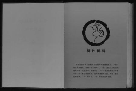 湖北胡氏族谱-中华胡姓通谱.pdf电子版插图2