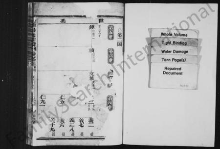 浙江汤氏族谱-溪南汤氏宗谱 [残卷].pdf电子版插图2