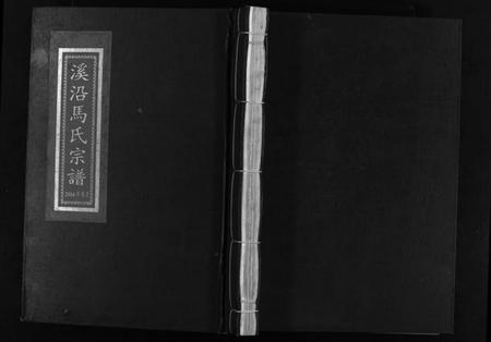 浙江马氏族谱-溪沿马氏宗谱 [不分卷].pdf电子版插图1