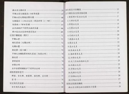 湖北胡氏族谱-胡氏宗谱.pdf电子版插图5