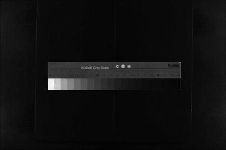 浙江温氏族谱-温氏宗谱 [不分卷].pdf电子版