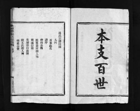 浙江温氏族谱-温氏宗谱 [不分卷].pdf电子版插图3