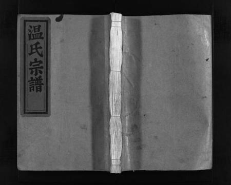 浙江温氏族谱-温氏宗谱 [不分卷].pdf电子版插图1
