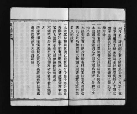 浙江温氏族谱-温氏宗谱 [不分卷].pdf电子版插图4