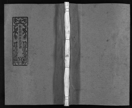 浙江许氏族谱-温邑渭川许氏宗谱 [2卷].pdf电子版插图1