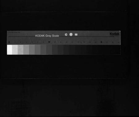 浙江滕氏族谱-滕氏宗谱 [4卷,首末各1卷].pdf电子版