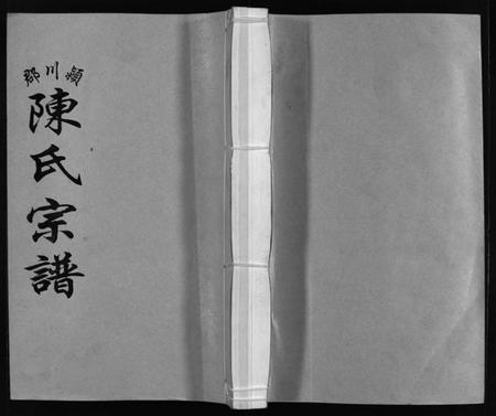 浙江陈氏族谱-颍川郡陈氏宗谱 [不分卷].pdf电子版插图1