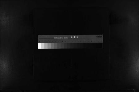 浙江陈氏族谱-颍川陈氏宗谱 [不分卷].pdf电子版