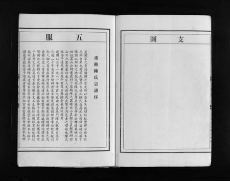 浙江陈氏族谱-颍川陈氏宗谱 [不分卷].pdf电子版插图5