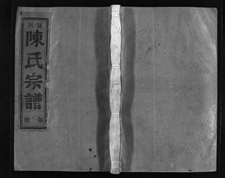 浙江陈氏族谱-颍川陈氏宗谱 [不分卷].pdf电子版插图1