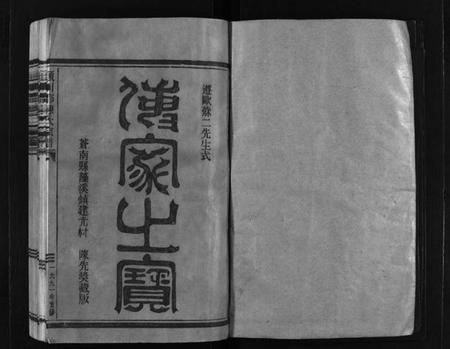 浙江陈氏族谱-颍川陈氏宗谱 [不分卷].pdf电子版插图2