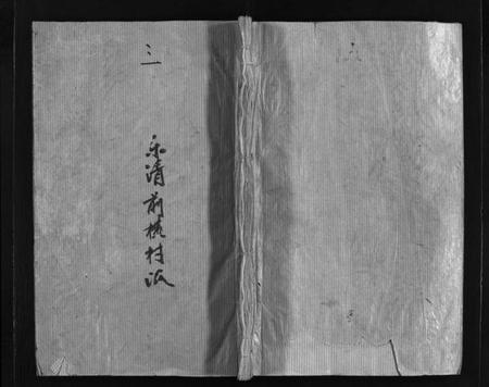 浙江陈氏族谱-颍川陈氏宗谱 [不分卷].pdf电子版插图1