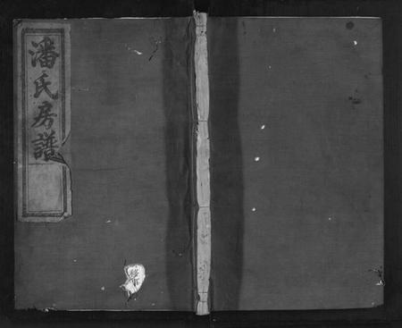 浙江潘氏族谱-潘氏耻房宗谱.pdf电子版