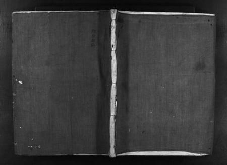 浙江李氏族谱-潭头李氏宗谱 [不分卷].pdf电子版插图1