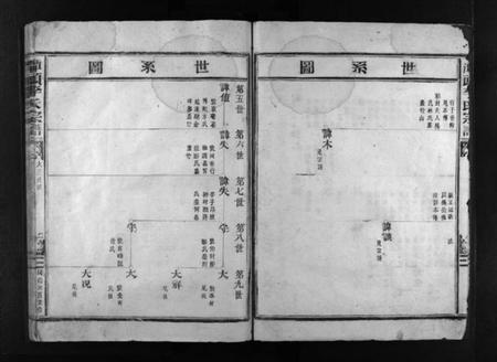 浙江李氏族谱-潭头李氏宗谱 [不分卷].pdf电子版插图5