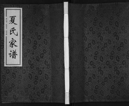 浙江夏氏族谱-潮漈夏氏大宗谱[不分卷].pdf电子版