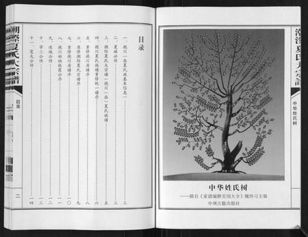 浙江夏氏族谱-潮漈夏氏大宗谱[不分卷].pdf电子版插图3