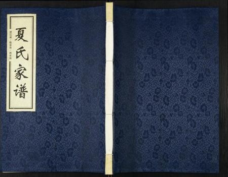 浙江夏氏族谱-潮灿夏氏家谱.pdf电子版插图 浙江夏氏族谱-潮灿夏氏家谱.pdf电子版插图