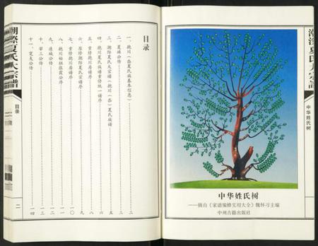 浙江夏氏族谱-潮灿夏氏家谱.pdf电子版插图3 浙江夏氏族谱-潮灿夏氏家谱.pdf电子版插图3