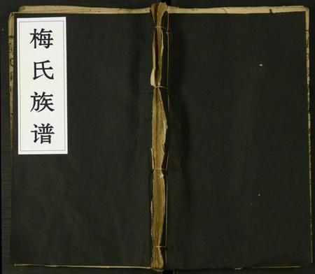 湖南梅氏族谱-梅氏族谱 [22卷].pdf电子版