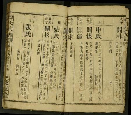 湖南梅氏族谱-梅氏族谱 [22卷].pdf电子版插图4