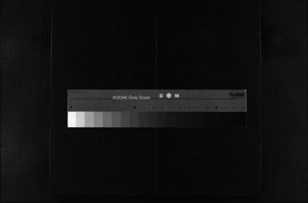 浙江林氏族谱-泽前林氏宗谱 [不分卷].pdf电子版